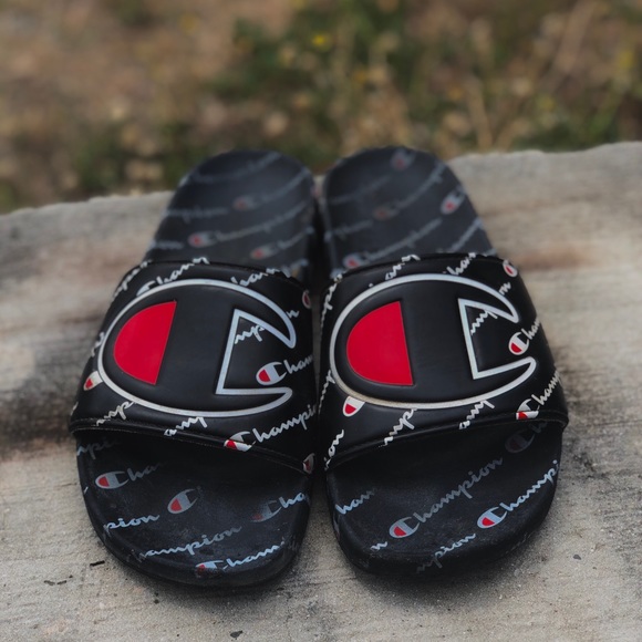 Champion Slides - Picture 2 of 3